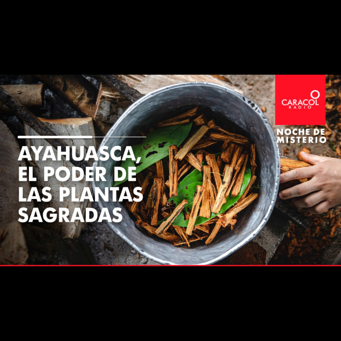 Noche De Misterio Ayahuasca El Poder De Las Plantas Sagradas Podium