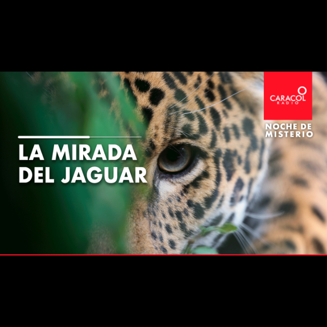 Imagen de La mirada del jaguar