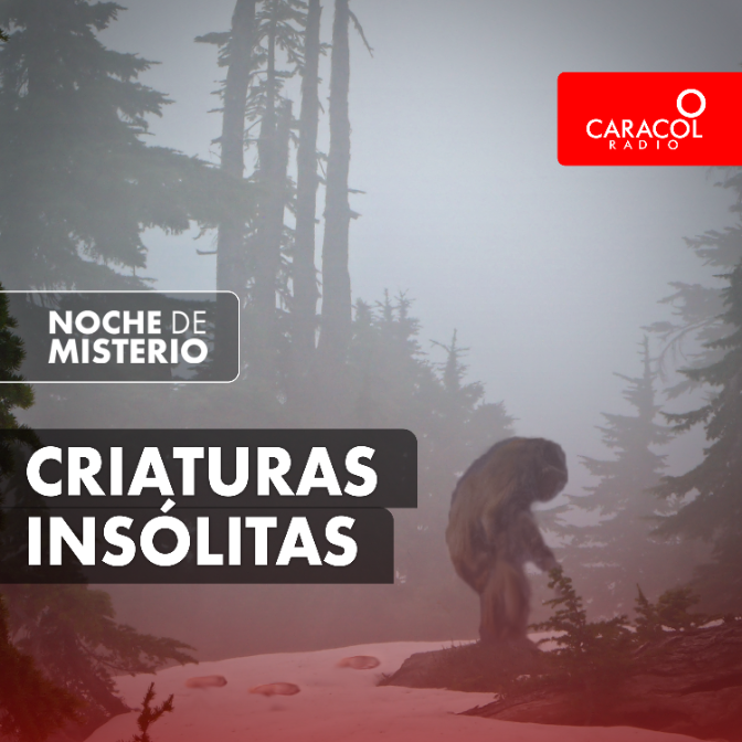 Imagen de Criaturas insólitas