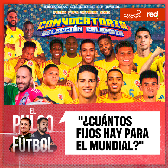 Imagen de ¿Cuántos fijos hay para el Mundial?